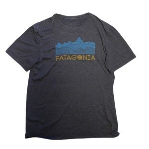 Patagonia tee
